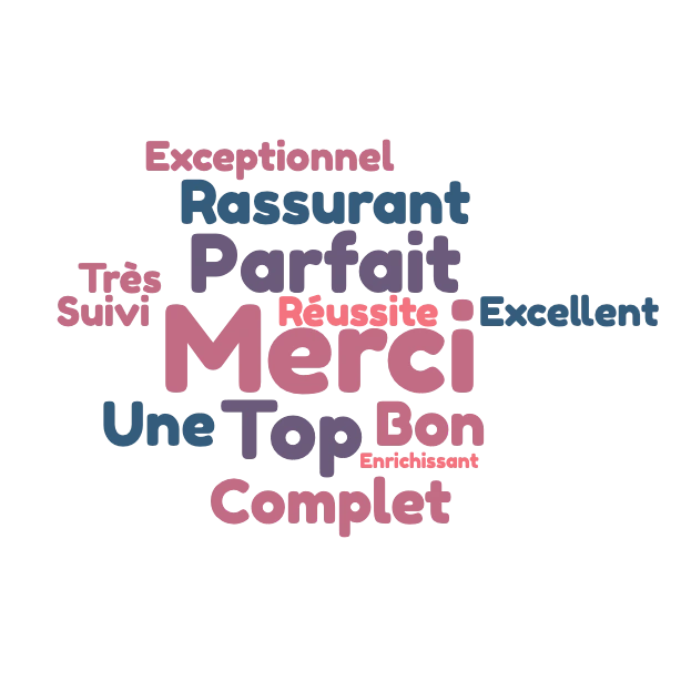 nuage de mots VAE CIBC DA